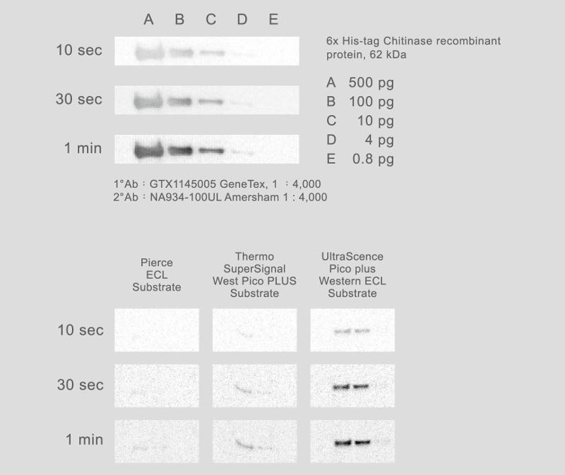 UltraScence Pico Plus Western ECL Substrate 100ml or 600ml