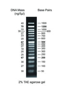 GD 50bp DNA ladder RTU - 500ul DM012-R500