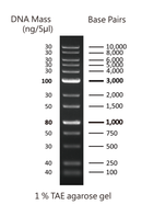GD 1K Plus DNA ladder RTU - 500ul DM015-R500