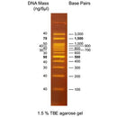 Bio-Helix OmniMARK (BH OneMARK) 100 RTU（100-3,000 bps） DMF12-0100 / DM101-0100