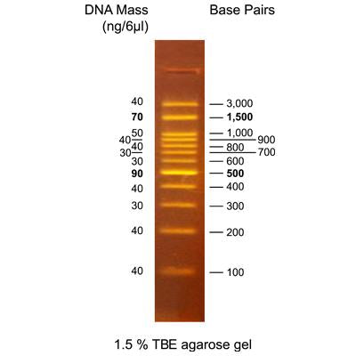 Bio-Helix OmniMARK (BH OneMARK) 100 RTU（100-3,000 bps） DMF12-0100 / DM101-0100