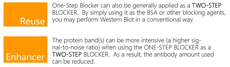 OneStep Blocker, Western Blocking solution and Signal Enhancer - 500ml