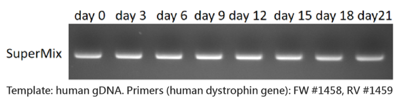 2X PCR Supermix 100 reactions MB200-P100