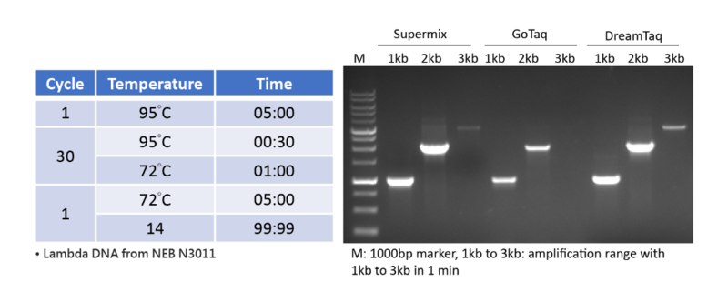 2X PCR Supermix 100 reactions MB200-P100