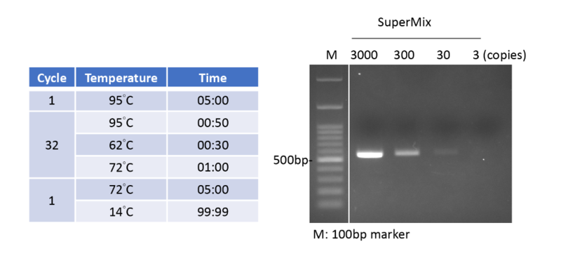 2X PCR Supermix 100 reactions MB200-P100