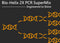 2X PCR Supermix 100 reactions MB200-P100