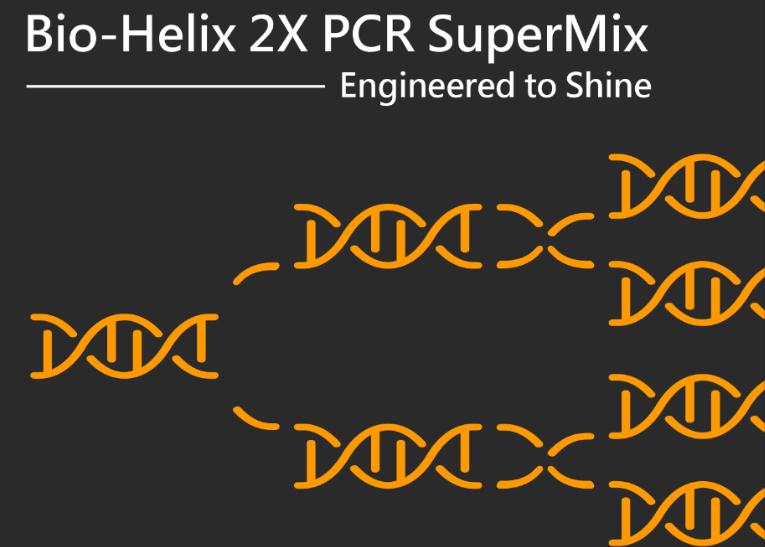 2X PCR Supermix 100 reactions MB200-P100