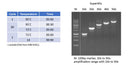 2X PCR Supermix 100 reactions MB200-P100