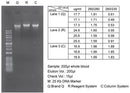 Genomic DNA isolation dual kit - 100 reactions PDC02-0100