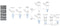 Genomic DNA isolation dual kit - 100 reactions PDC02-0100