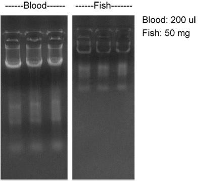 Total RNA Isolation Reagent - 100 reactions