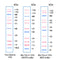 PiNK Plus Prestained Protein Ladder 500ul