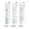 BLUeye Prestained Protein Ladder - 500ul PM007-0500
