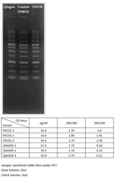 PCR Clean-up and Gel extraction kit - 100 reactions