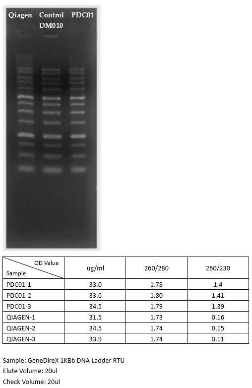 PCR Clean-up and Gel extraction kit - 100 reactions