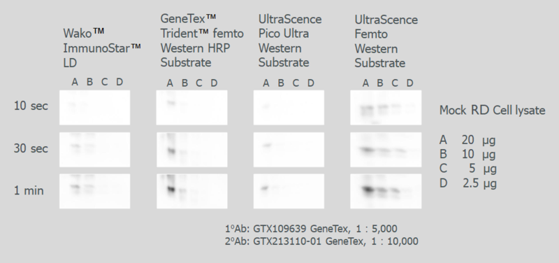 UltraScence Femto Western ECL Substrate - 100ml and 600ml (CCH375-B100ml)