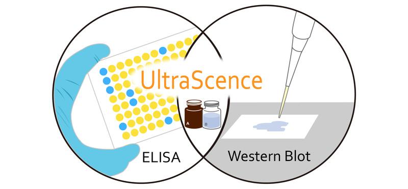 UltraScence Femto Western ECL Substrate - 100ml and 600ml (CCH375-B100ml)