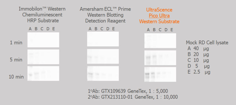 UltraScence Pico Ultra Western ECL Substrate - 100ml and 600ml