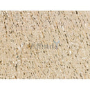 CENPB Antibody -DF13261