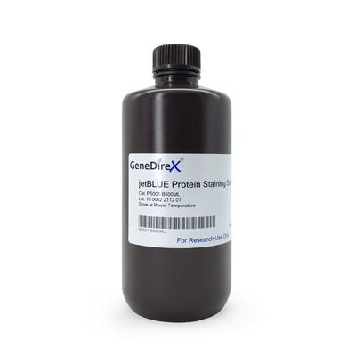 jet Blue Protein Staining Solution, 500ml PS001-B500ML