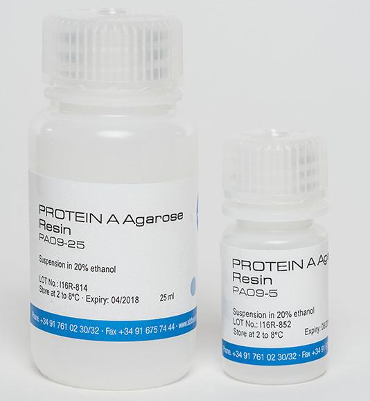 PROTEIN A Agarose Resin