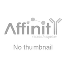 Goat Anti-Rabbit IgG (H+L) HRP