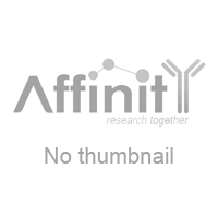 Rabbit Anti-Goat IgG (H+L) HRP